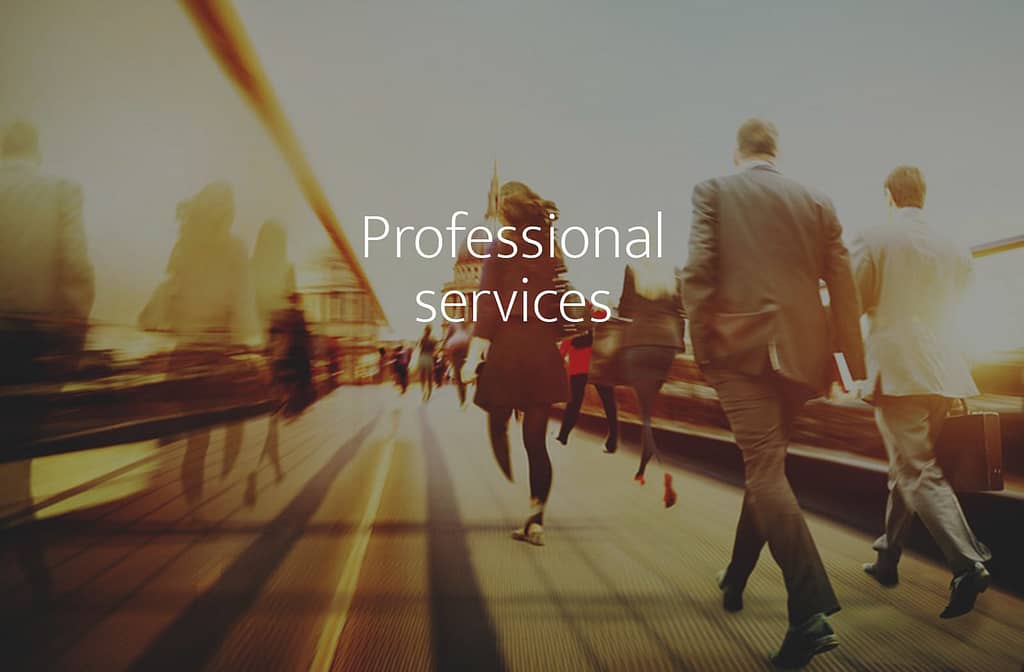 Professional services sector