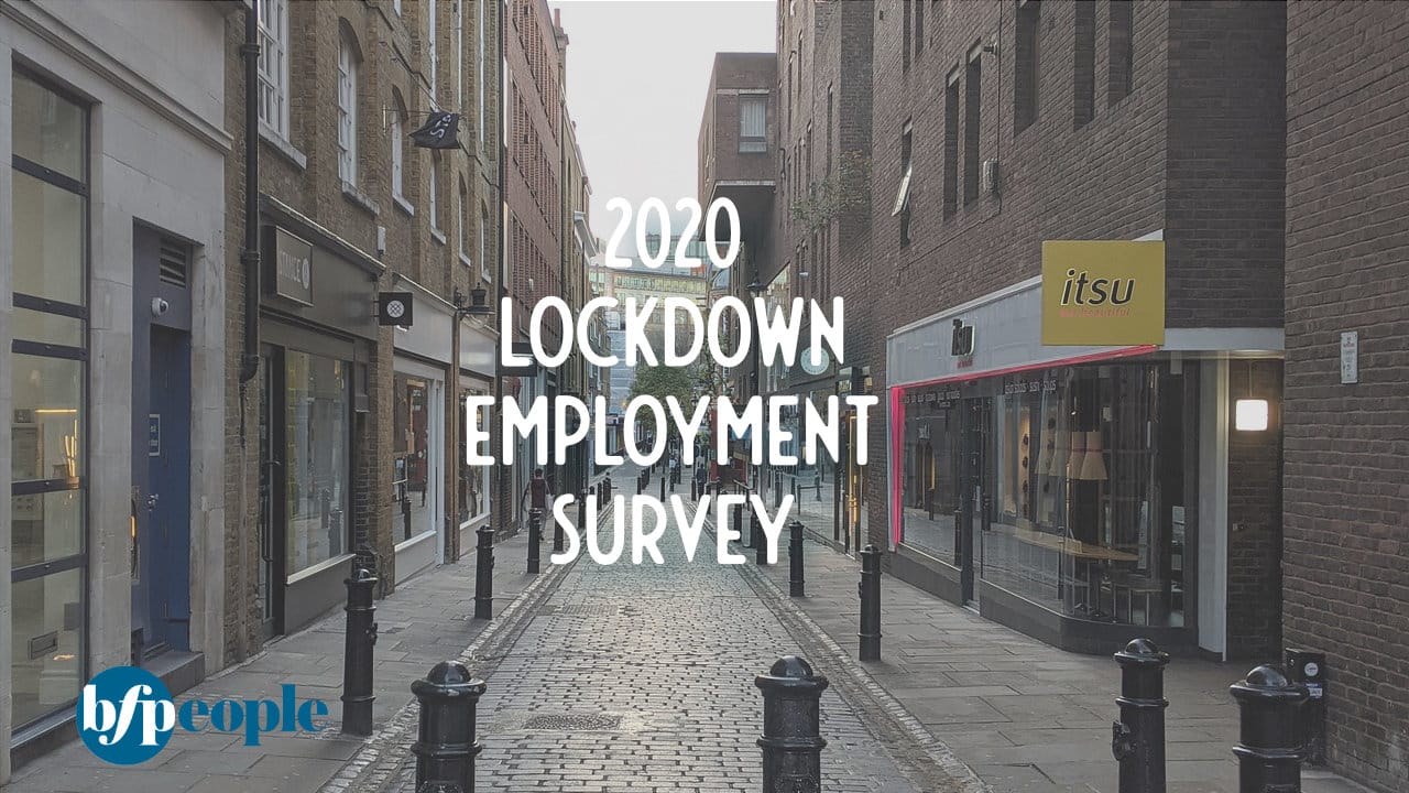 Lockdown Employment Survey – the results