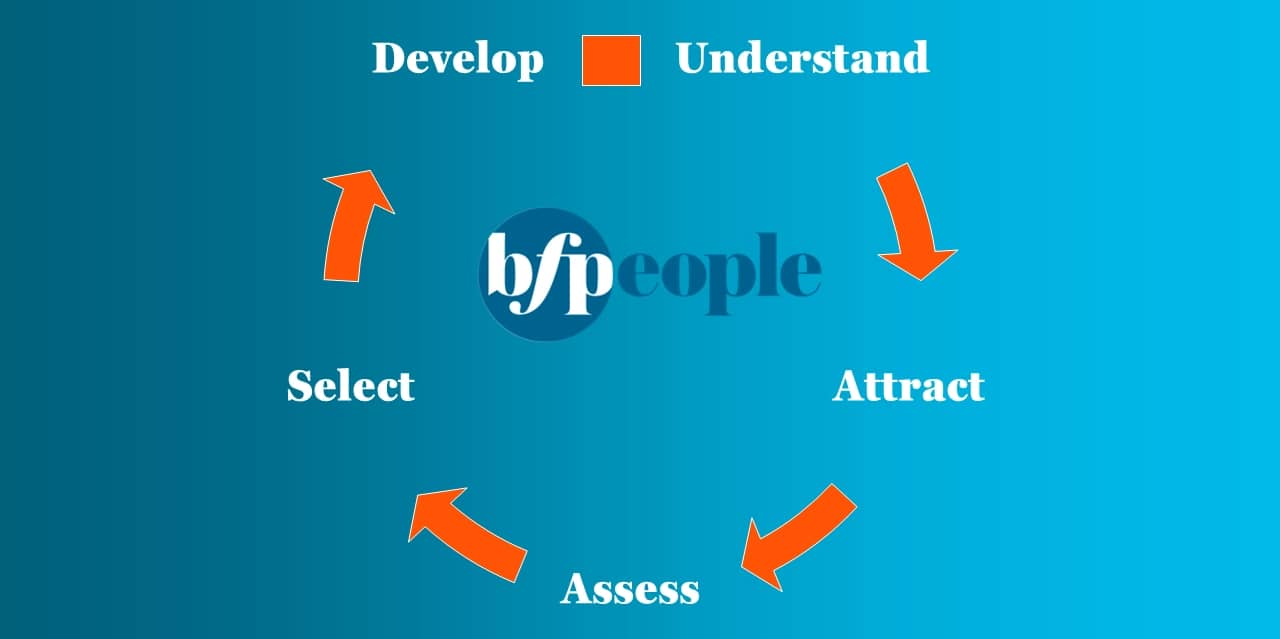 bfpeople - executive search process