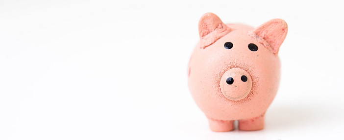 picture of piggy bank to portray financial modelling analyst job